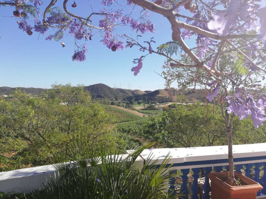 From Albufeira: Wine Tasting & Historic Silves Tour - Leaving Albufeira for the inland Algarve