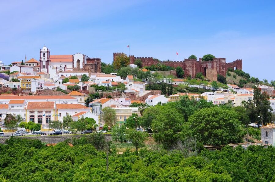From Albufeira: Wine Tasting & Historic Silves Tour - What the guides add to the afternoon