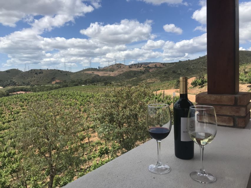 From Albufeira: Wine Tasting & Historic Silves Tour - Is $76 good value?