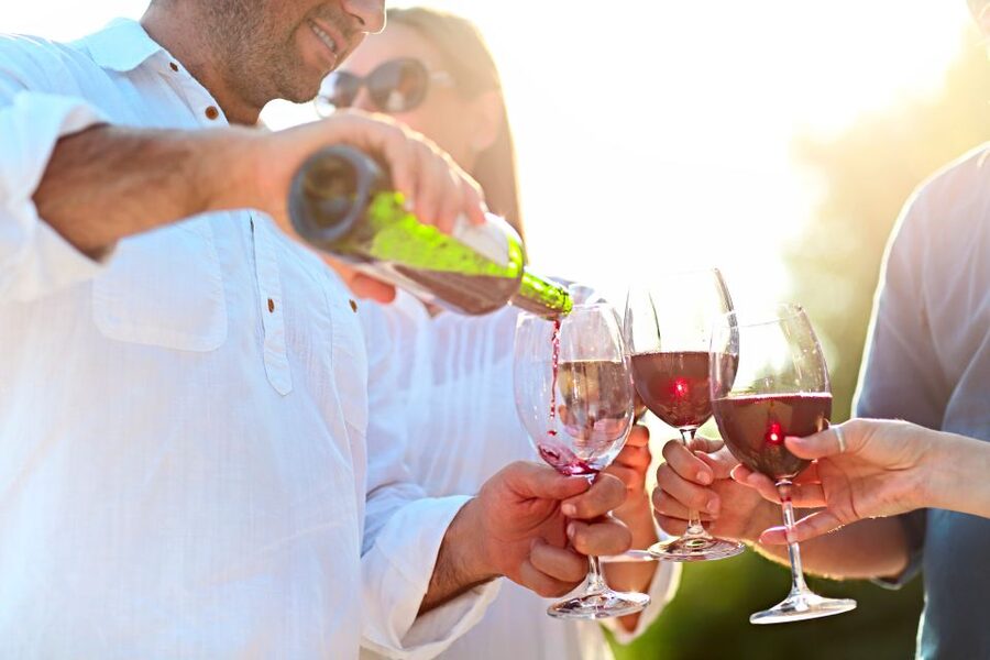 From Albufeira: Wine Tasting & Historic Silves Tour - Timing, comfort, and small practical details