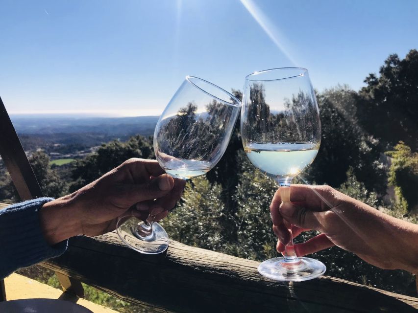 From Albufeira: Wine Tasting & Historic Silves Tour - Silves in 30 minutes