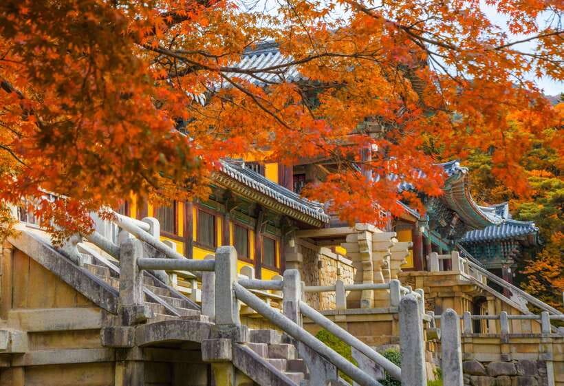 From Busan: Gyeongju UNESCO World Heritage Guided Day Tour - Choose between Yangdong and Gyochon