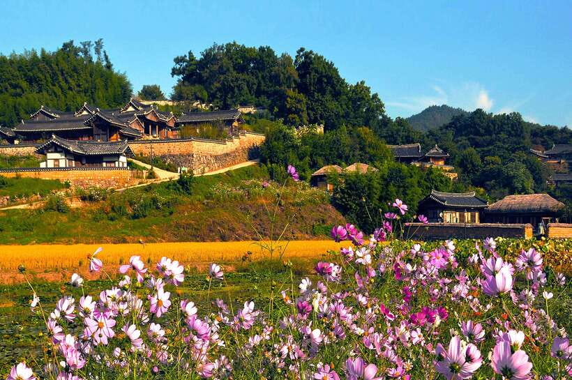 From Busan: Gyeongju UNESCO World Heritage Guided Day Tour - Royal tombs and Hwangnidan Street show old and new Gyeongju