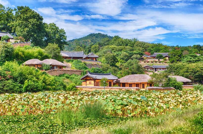 From Busan: Gyeongju UNESCO World Heritage Guided Day Tour - Package C trades night scenery for the national museum