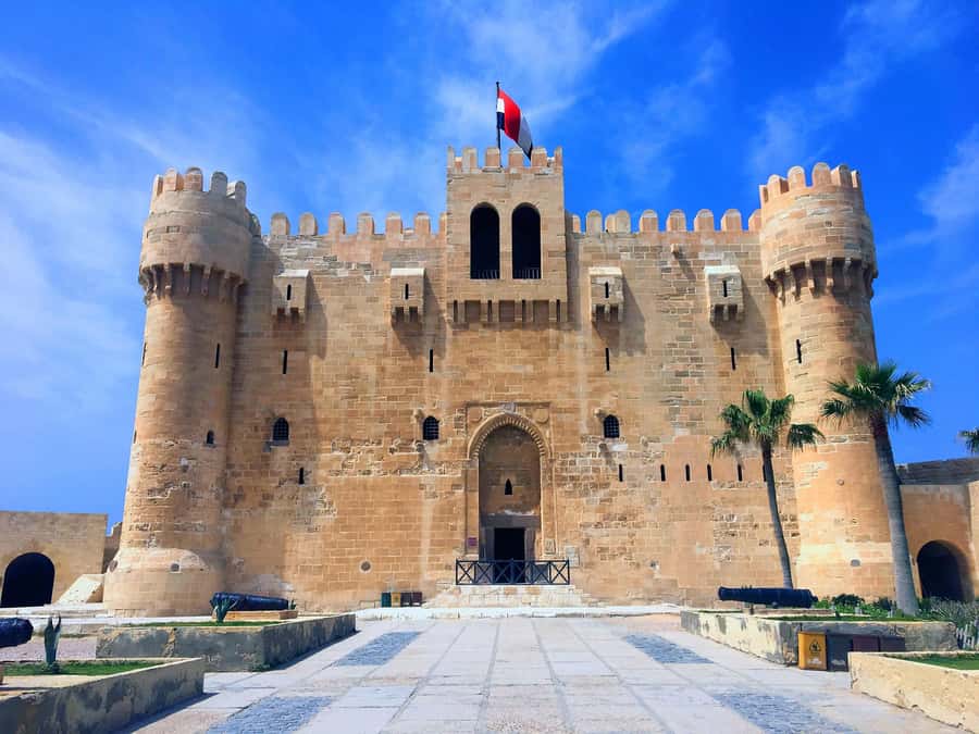 From Cairo: Private Full-Day Tour of Historical Alexandria - Who should book this day trip?