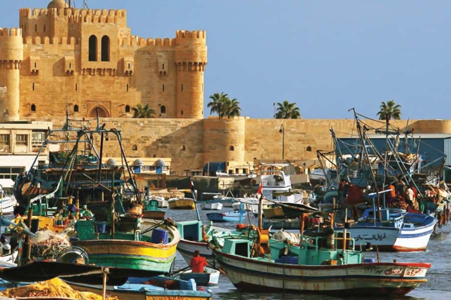 From Cairo: Private Full-Day Tour of Historical Alexandria - The Library of Alexandria, old idea and new building