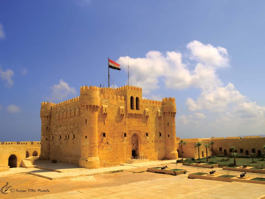 From Cairo: Private Full-Day Tour of Historical Alexandria - What the guide and driver add