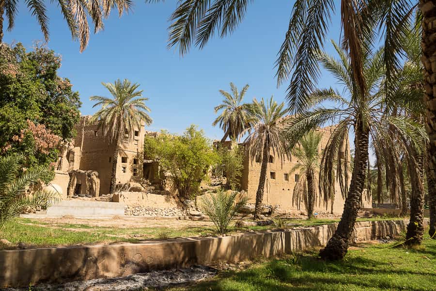From Muscat: Nizwa and Oman's Historical Gems Tour - Al Hamra and Bait Al Safah Museum