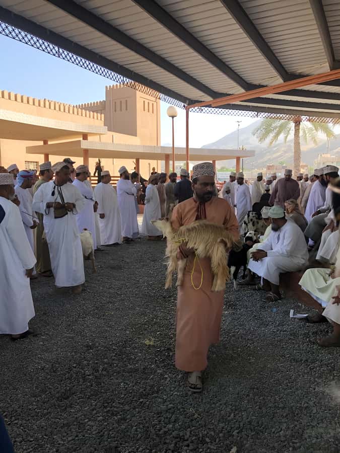 From Muscat: Nizwa and Oman's Historical Gems Tour - Transport, timing, and group size