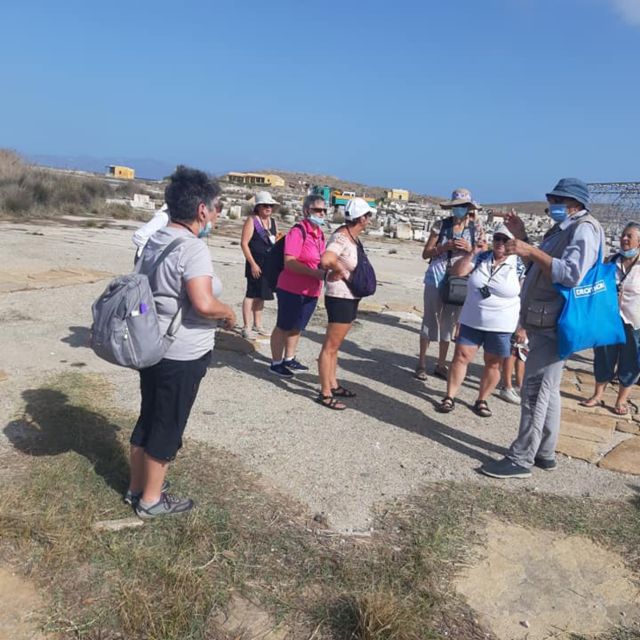 From Mykonos: Ancient Delos Tour - The Terrace of the Lions and the Sacred Way