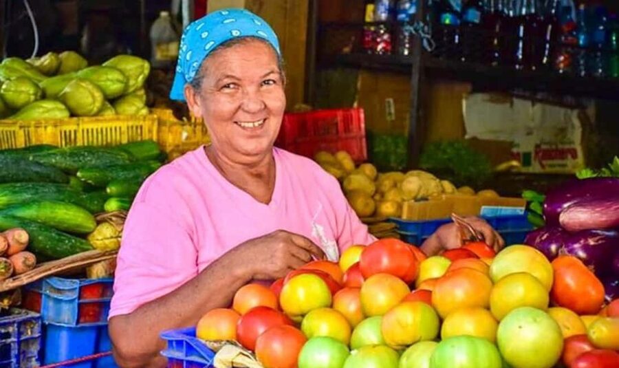 From Punta Cana: History and Culture Tour with River Swim - Farm stops, coffee, cocoa, and a traditional home