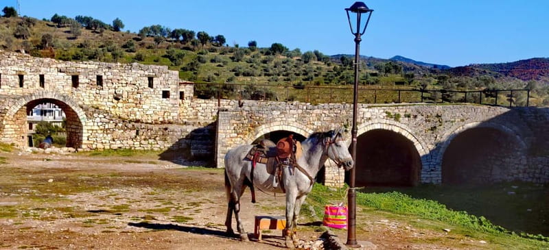 From Tirana: Berat UNESCO Heritage & Belshi Lake Tour - Entering Berat Castle, a living historic quarter