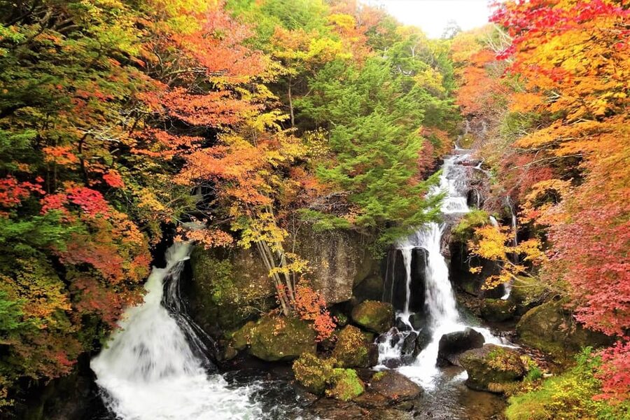 From Tokyo: Nikko World Heritage Site Private Full-Day Trip - Key points before you book
