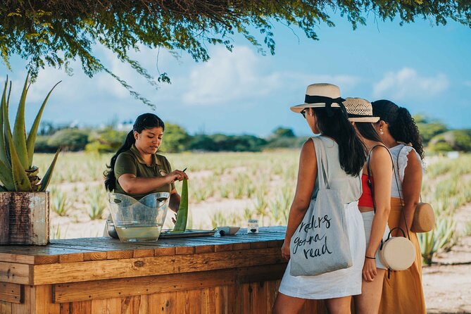 Full-Day Aruba History and Must-See Landmarks Tour - Aruba Aloe Factory: more than a shopping stop