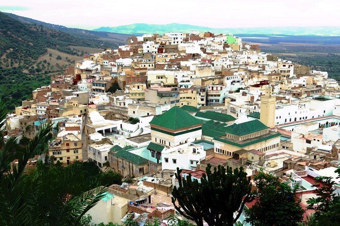 Full-day Historical Meknes Volubilis and Moulay Idriss Tour - Key points to know before you book