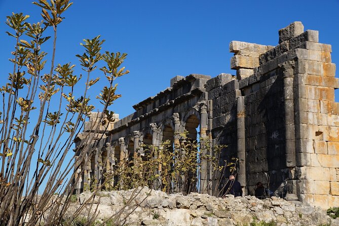 Full-day Historical Meknes Volubilis and Moulay Idriss Tour - The 9:30 pickup and the road out of Fez