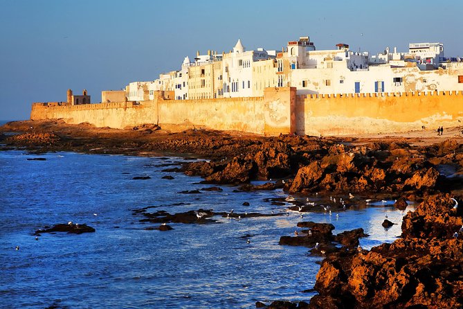 Full-Day Tour to Essaouira - The Ancient Mogador City from Marrakech - Key points to know before booking