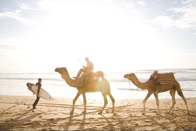 Full-Day Tour to Essaouira - The Ancient Mogador City from Marrakech - The guides can shape the experience