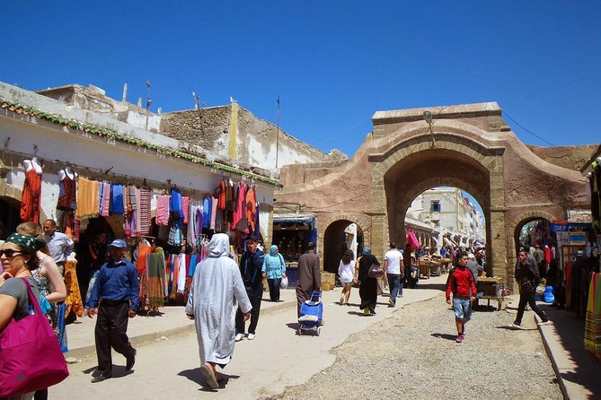 Full-Day Tour to Essaouira - The Ancient Mogador City from Marrakech - Stop one: argan oil and the goats in the trees