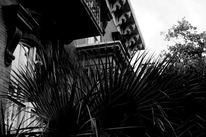 Genteel and Bard's Savannah Dark History and Ghost Encounter Walking Tour - Colonial Park Cemetery and the city’s burial past