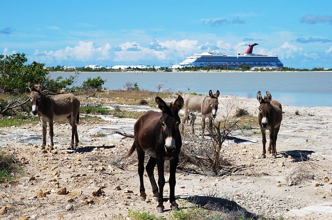 Grand Turk Historical Sightseeing Tour by Tram - Riding north in an open-sided tram
