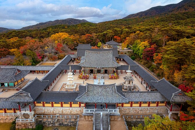 Gyeongju UNESCO World Heritage Guided Day Tour from Busan - The museum option for a more focused history day