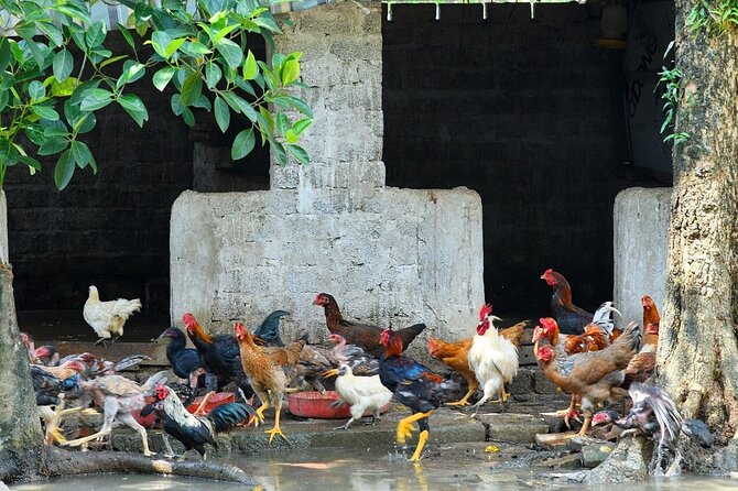 Hanoi Full Day A Private Tour With Mix of History and Activities - What the $160 price really covers
