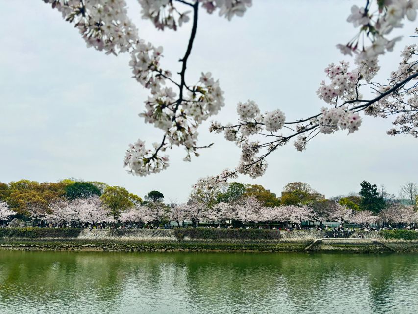Hiroshima: History of Hiroshima Group Walking Tour - Why a guide helps at Hiroshima Peace Memorial Park