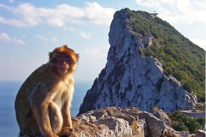 Historic Gibraltar Rock and St Michael's Cave Tour from Seville - Free time in Gibraltar: lunch, shops, and a choice