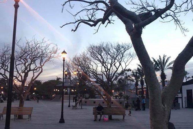 Historical and Cultural Walking Tour of San José del Cabo - Who should book this San José del Cabo walk