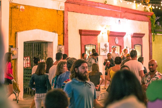 Historical and Cultural Walking Tour of San José del Cabo - The estuary edge and the natural setting