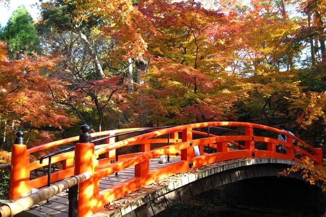 Historical Kyoto E-Bike Tour - Riding west toward Arashiyama