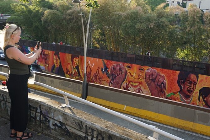 Historical Shared Tour Salsa, Graffiti & Resistance in Cali - Fine Arts and Cali’s creative community