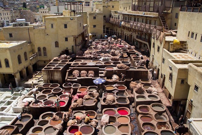 History and culture with Fes Medina private tour guide - Starting at Hotel Batha or meeting near the Blue Gate