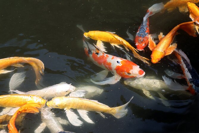 Imperial Palace East Garden and Edo Castle Walking Tour in Tokyo - Is $25 a good value?