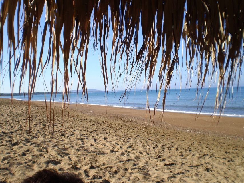 Katakolo: Ancient Olympia and Kourouta Beach Guided Tour - The shift from sacred ruins to Kourouta Beach