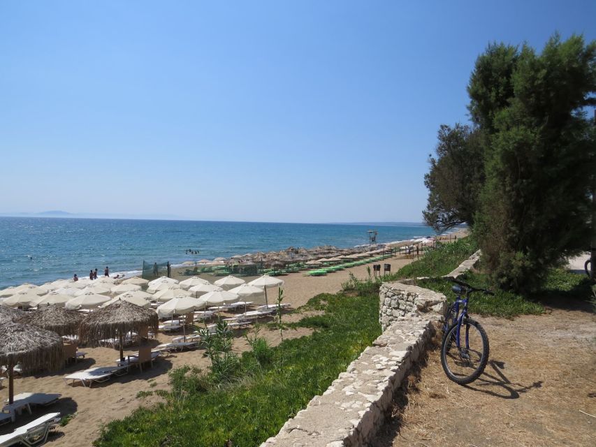 Katakolo: Ancient Olympia and Kourouta Beach Guided Tour - Should you book the Olympia and Kourouta combination?
