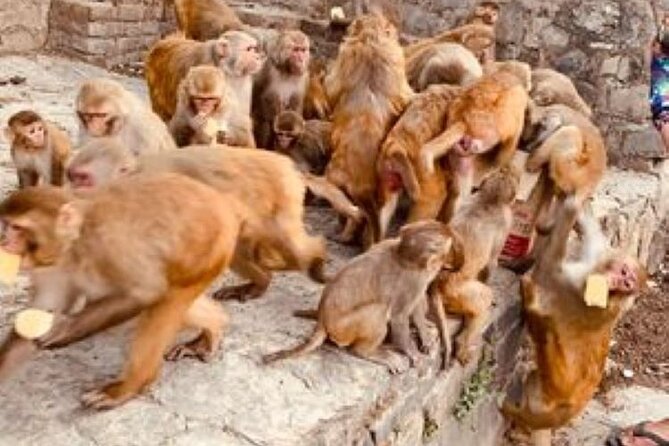 Kathmandu Private Sightseeing Tour | UNESCO World Heritage Sites - Pashupatinath and the sacred Bagmati river area