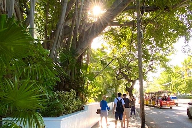 Key West Historic Bahama Village & Hemingway Heritage - Hemingway’s pool and the property story