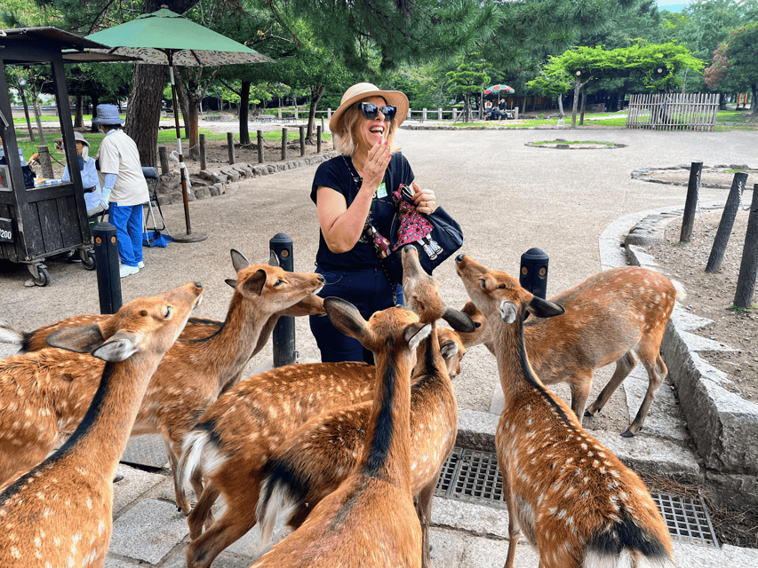 Kyoto: Nara & Traditional Matcha Experience Bus Tour - Kasuga Taisha and its 3,000 lanterns