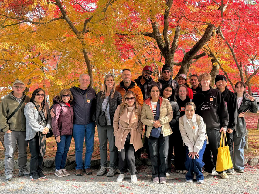 Kyoto: Nara & Traditional Matcha Experience Bus Tour - Nara Park and the deer encounter