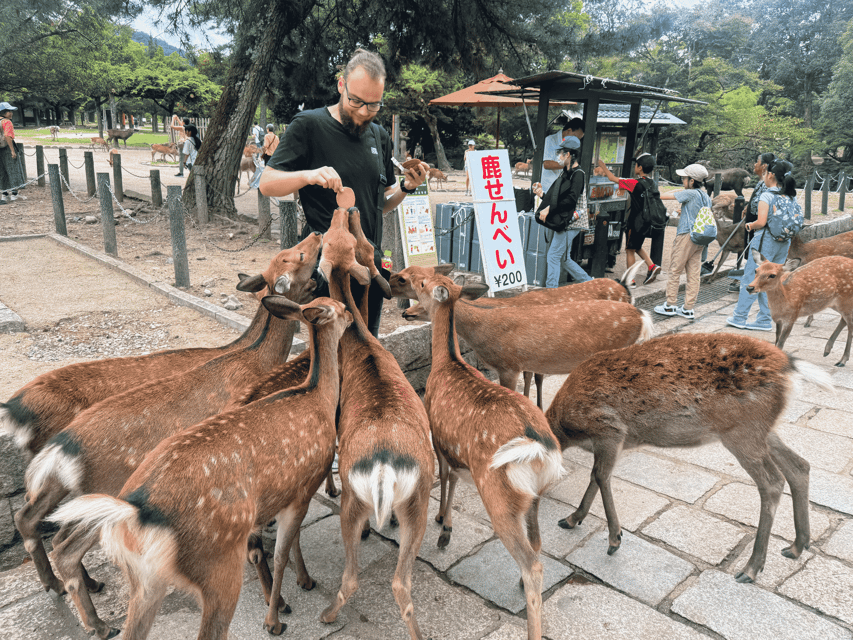 Kyoto: Nara & Traditional Matcha Experience Bus Tour - Todaiji and the Great Buddha Hall