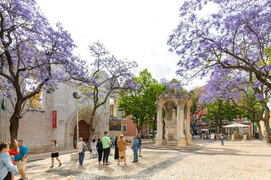 Lisbon: History, Stories and Lifestyle Walking Tour - Santa Justa, Baixa, and the short coffee break