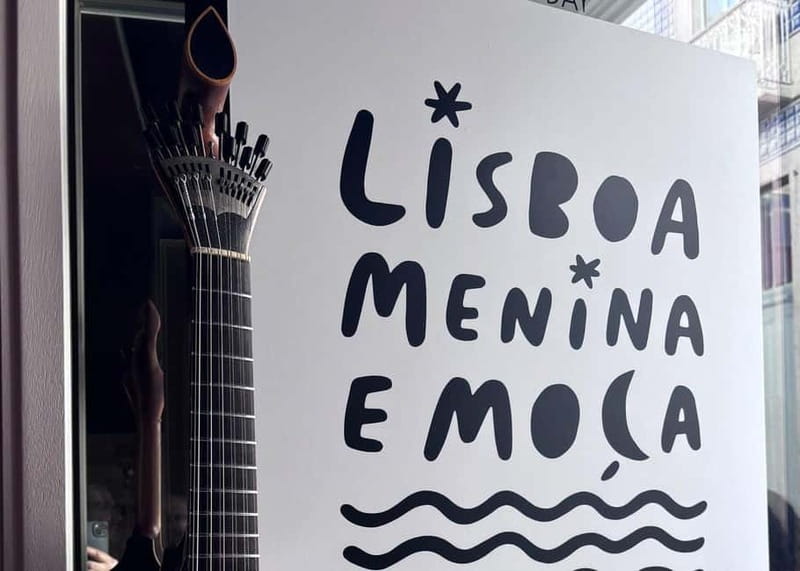 Lisbon: Live Fado Show in Historic Alfama with Port Wine - What happens during the one-hour performance
