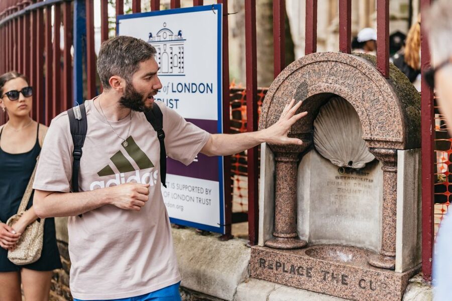 London: Historic Pubs of Central London Walking Tour - Who should book this experience?