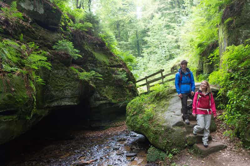 Luxembourg: Nature, History and Castles Full-Day Tour - Key points to know before you book