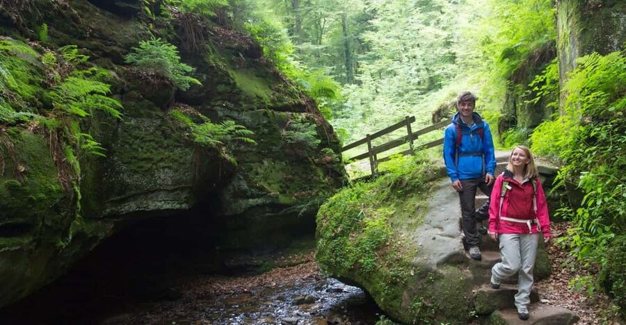 Luxembourg: Nature, History and Castles Full-Day Tour - Beaufort Castle and the seasonal catch