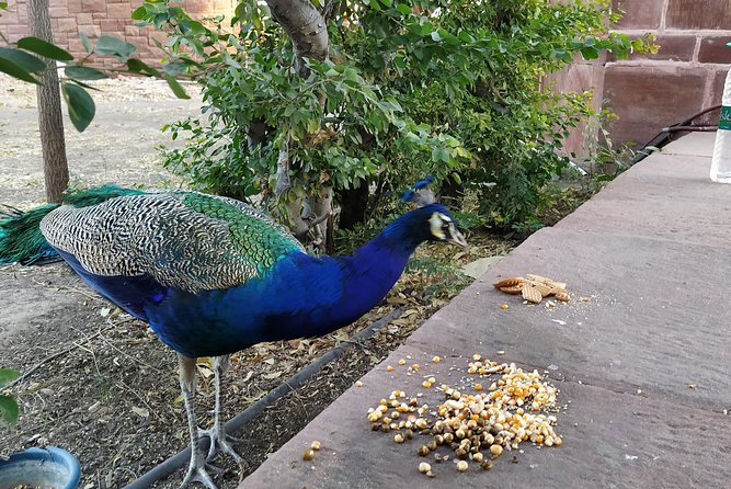 Mehrangarh Fort and Blue City Historic Tour with Local Guide - Two hours inside Mehrangarh Fort