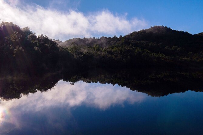 Morning World Heritage Cruise on the Gordon River from Strahan - Who will enjoy this cruise most