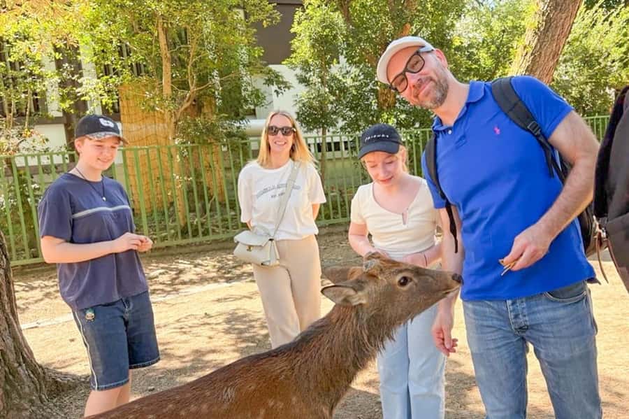 Nara: Half-Day UNESCO Heritage & Local Culture Walking Tour - Why this Nara tour works beyond the deer photos